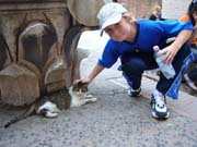 0724_Colosseum_cat